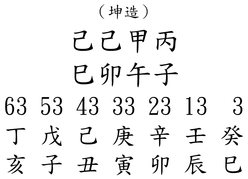 八字案例223