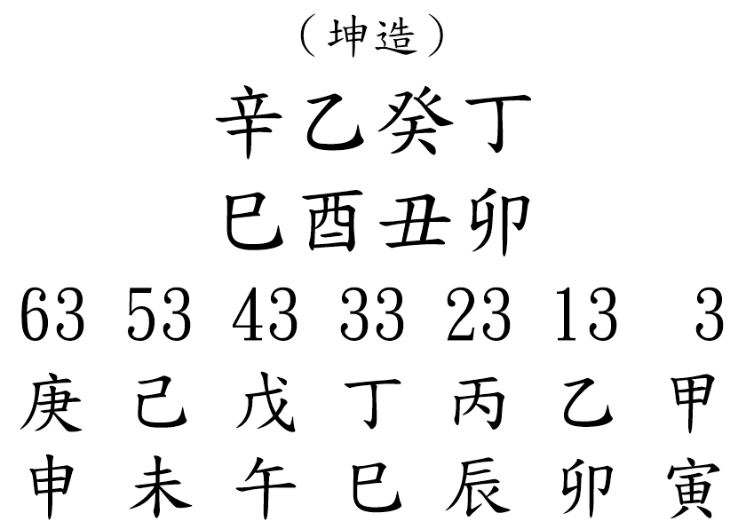 八字案例295