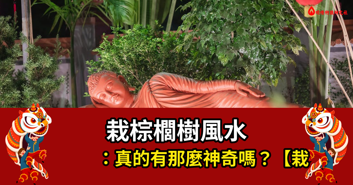 栽棕櫚樹風水好嗎