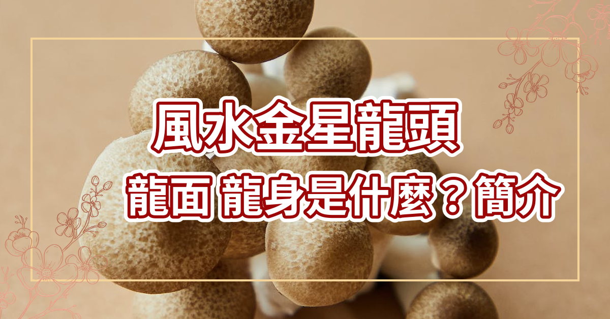 什麼叫風水金星龍頭 龍面 龍身