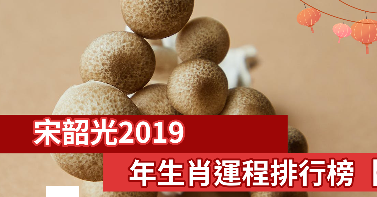 宋韶光2019年生肖运程排行